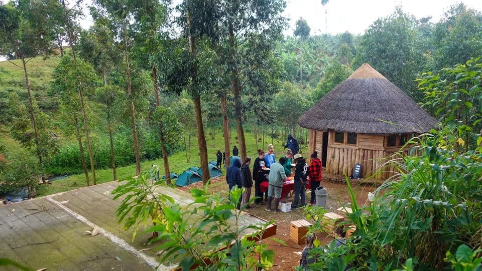 Thatched wooden hut and guests gathering in the green campsite